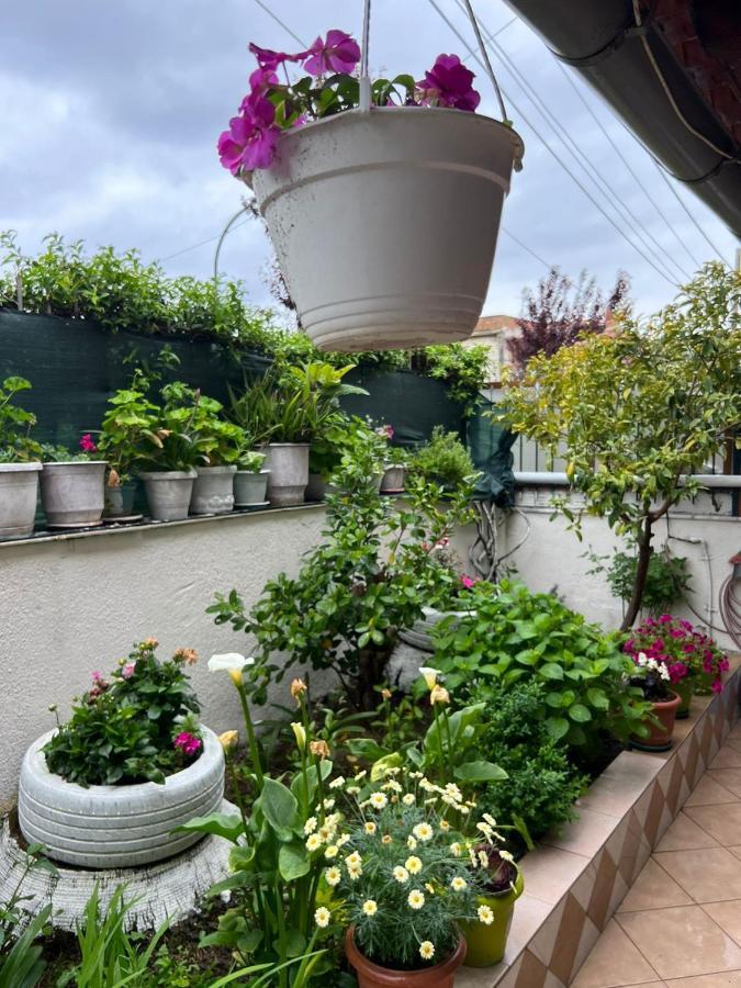 Goni Guest House Sarande Exterior photo